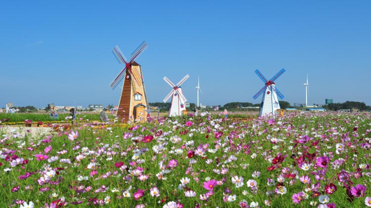 대부바다향기테마파크